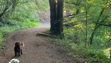 Brittany Countryside Retreat 3 Bedrooms Sleeps 6 Pet Friendly Heated Swimming Pool Free Wifi - Foto 2