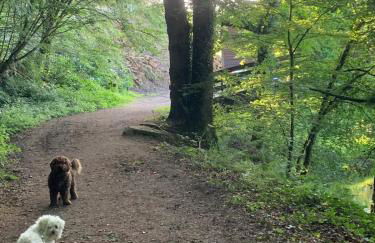 Brittany Countryside Retreat 3 Bedrooms Sleeps 6 Pet Friendly Heated Swimming Pool Free Wifi - Foto 2