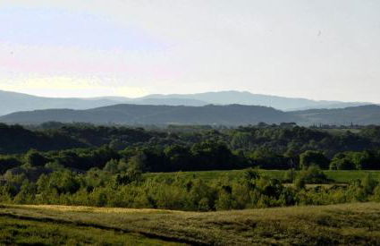 Agriturismo il Pino - Bioagricoltura - Photo 45