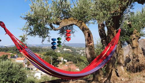 Baranca Stima - Foto 2, Garden