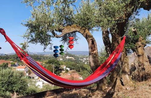 Baranca Stima - Foto 2