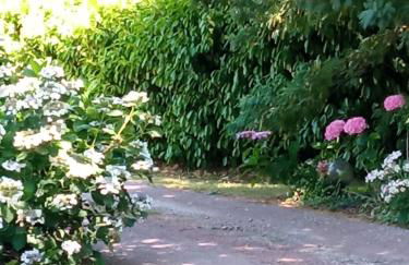 Gîte 2 personnes, proche mer - Foto 14