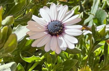 Espacio Shangrila.One - Foto 80