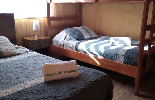 Campos de Frutillar - Foto 2