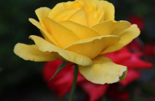 Ferienwohnungen Pano - Foto 4