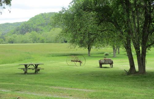 Historic cabin off I-77, views, antiques, Wi-fi, wonderful experience for 2! - Foto 42