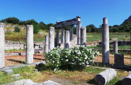 Villa Finiki Messinia upstairs - Photo 55