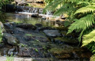 Gästehaus Resi - Foto 10