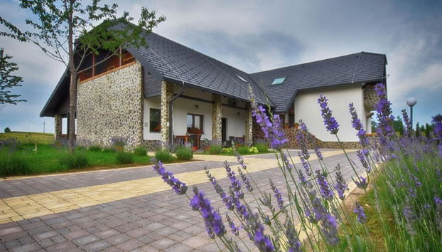 Villa Stone - Foto 5