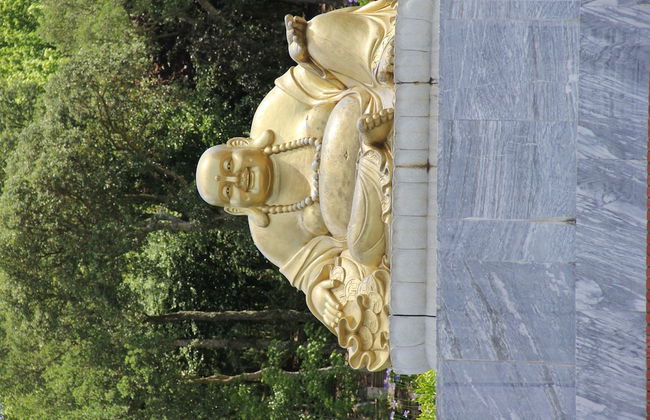 Terra Luso - Foto 56