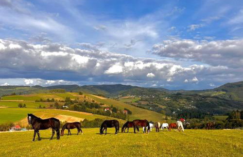 Agro Ranczo - Domek na wynajem - Foto 10