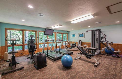 The Rushes - Foto 45