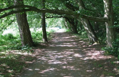 Altstadtapartment - Foto 28