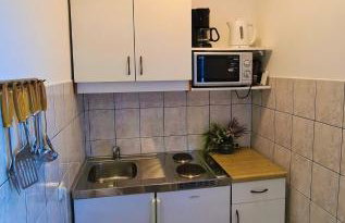 ĆOSIĆ APARTMANI IGRANE - Photo 12