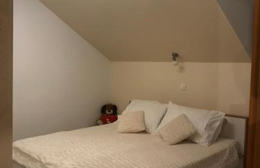 Apartman MIG - Foto 18