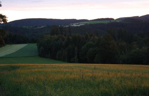 Apartment am Buchenhain - Foto 33