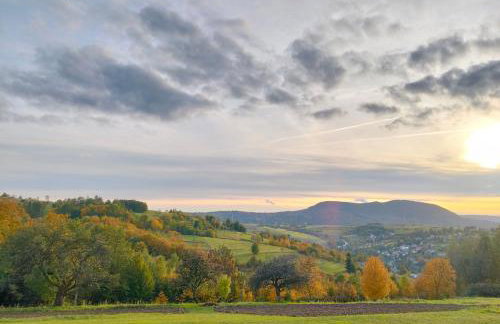 Domek Cichy Zakątek Beskid Niski - Foto 53