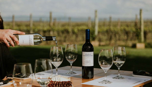 Tour in Baños de Rioja - Photo 2