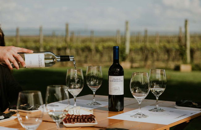 Visita ao vinhedo da Finca La Emperatriz - Foto 2