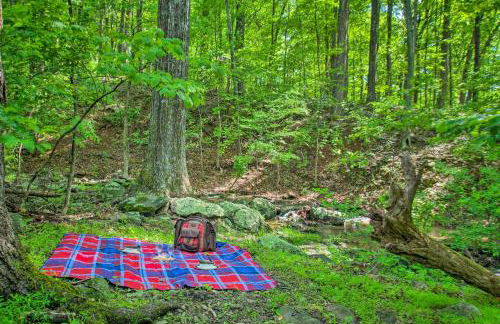 Renovated Studio on 5 Acres - Near Vineyards! - Foto 28