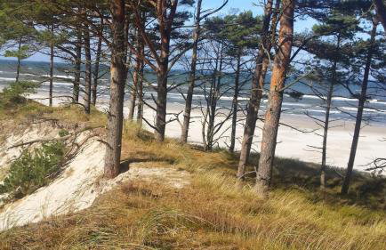 Dom u Kapitana w Lubiatowie - Foto 53