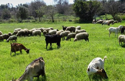 Fontana Luxury Villa Salakos With Pool Near Beach - Foto 60