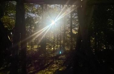 Apartament Skórcz Kociewie Pomorze Gdańskie Agroturystyka - Foto 35