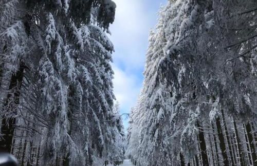 Ferienhaus Küstelnest - Foto 43