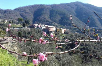 Casa Burrasca - Foto 18