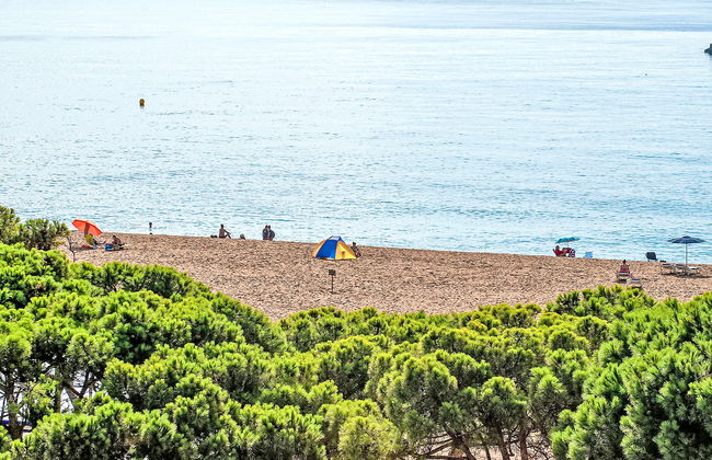 Paisos Catalans - Foto 15