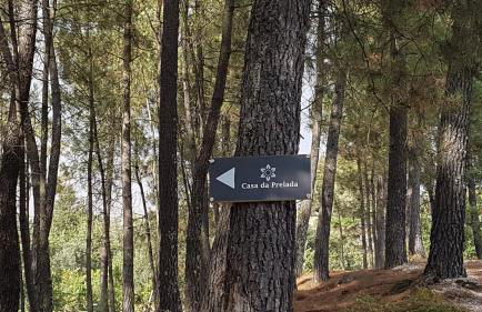 Casa da Prelada - Foto 19