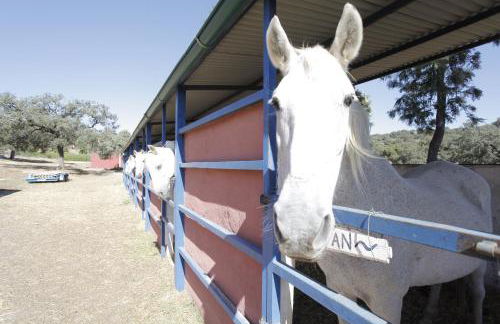 Villa Rural Sierra Hueznar - Foto 22