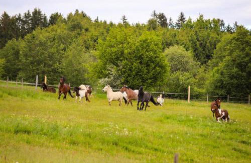 Ferienhof Kosertal - Erlebnisbauernhof, Reitstall & Spa - Foto 12