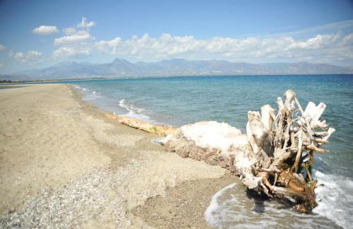 Residence La Bricola 239 - Photo 23