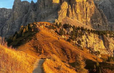 Alpine Chalet CESA VEDLA -nature & silence - Foto 36