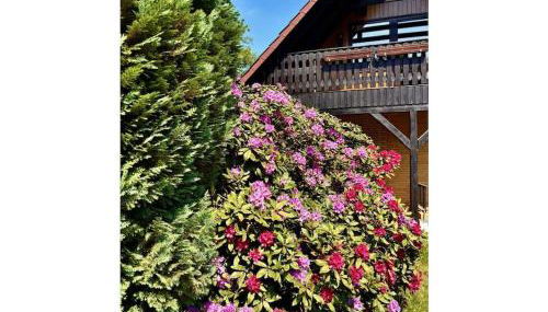 Little Heidjer House - Foto 3, Other