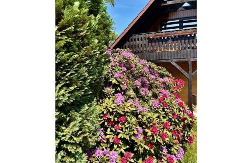 Little Heidjer House - Foto 3