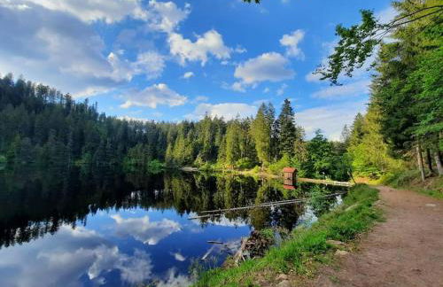 Ferienwohnung Schwarzwaldblick - Photo 32