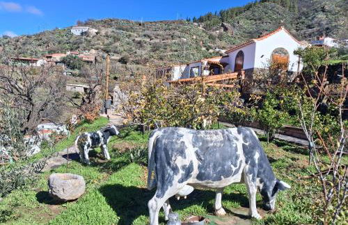 Casa Chopino - Foto 9