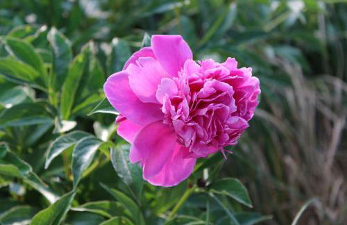 Ferienwohnung Rabenstein - Foto 35