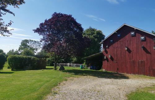 Ferienwohnung am Bauernhof - Foto 35