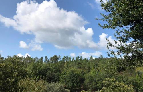 Casa Das Flores - Foto 40