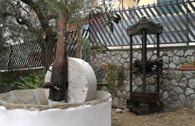 Agriturismo Oleum - Foto 41