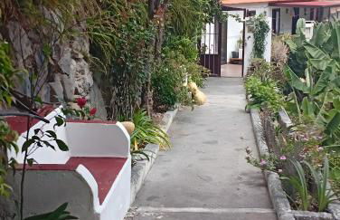 La Estrella - Foto 31