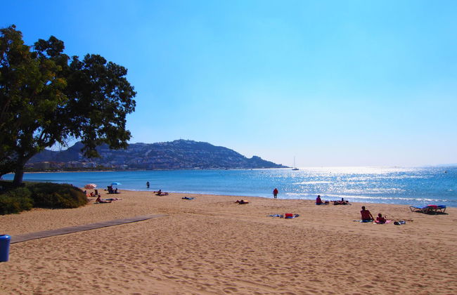 El colibri II - Foto 18