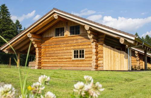 Blockhaus Almhütte Wiesenglück - Foto 11