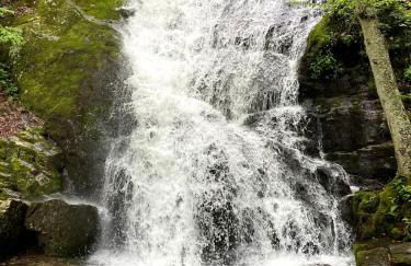 Romantic Getaway or Family Vacay with Mountain Views & Hot Tub - Foto 52