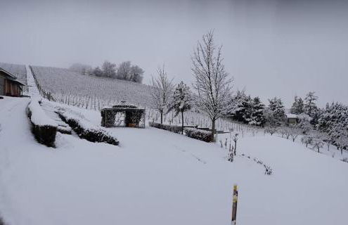 Cà Du Ruja - Foto 42