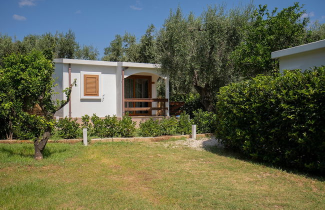 Holiday Apartment Orchidea With Swimming Pool and Private Beach -3 - Foto 67