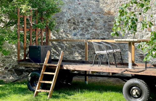 Igelnest Großthiemig - Foto 13